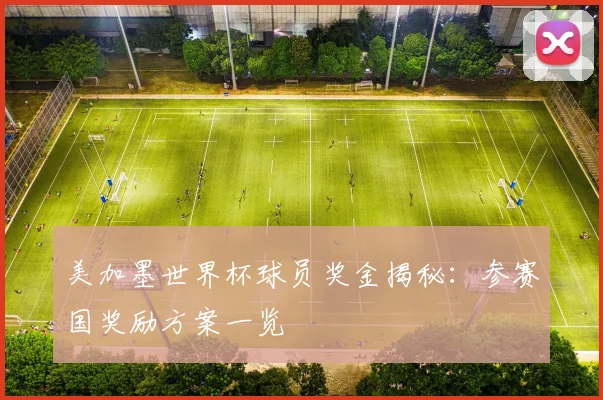 美加墨世界杯球员奖金揭秘：参赛国奖励方案一览